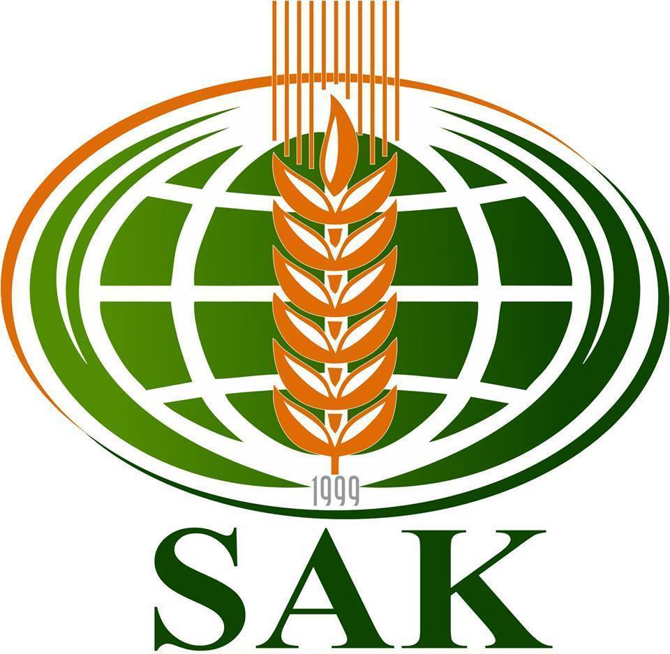 Описание изображения