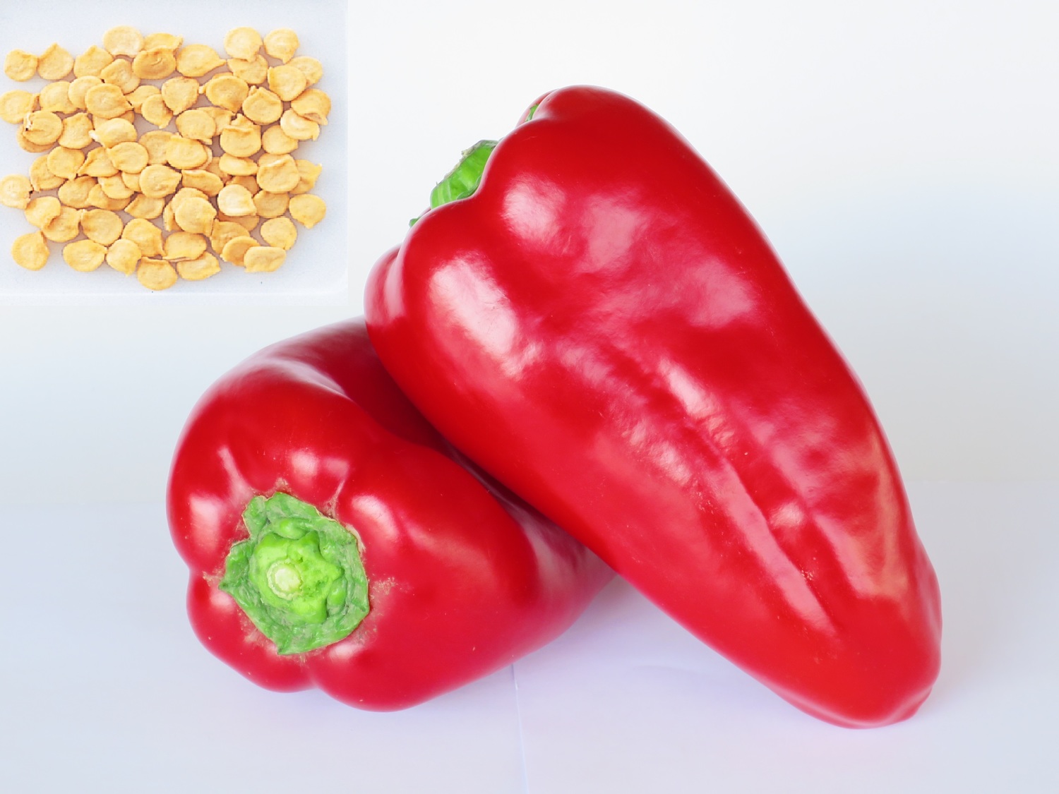 Сорт "Ласточка"